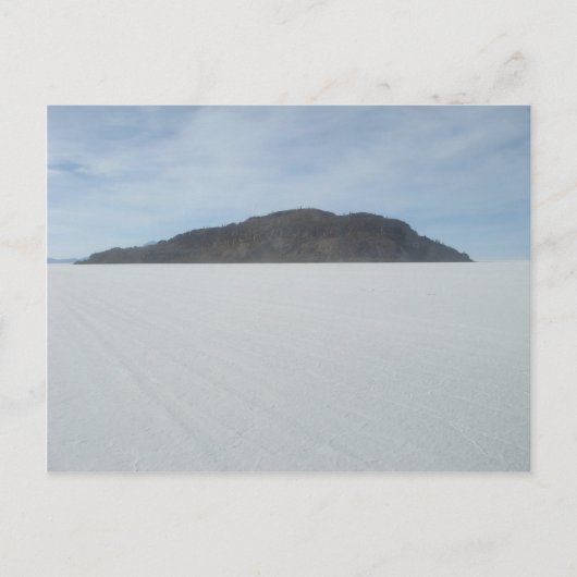 Cactus Island Postkarte (Vorderseite)