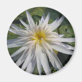 Cactus Jack Magnet (Vorne)