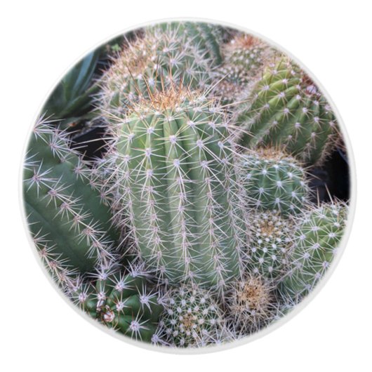 Cactus Keramik Pull Keramikknauf (Vorderseite)