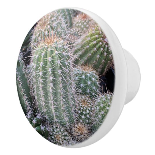 Cactus Keramik Pull Keramikknauf (Rechts)