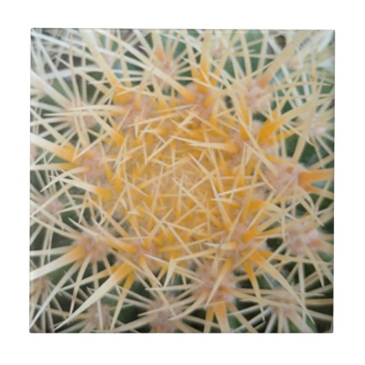 Cactus Keramik Tile Fliese (Vorderseite)