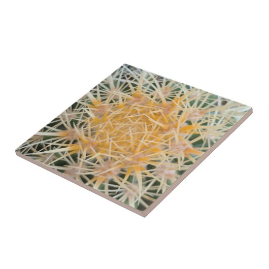 Cactus Keramik Tile Fliese (Seite)