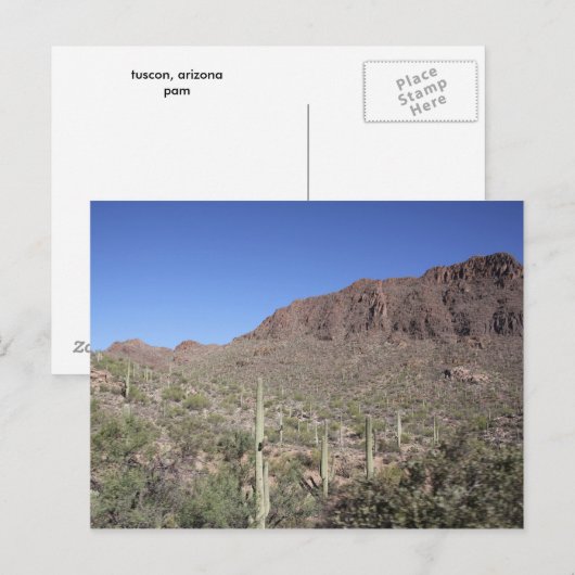 Cactus Landscape Postkarte (Vorne/Hinten)