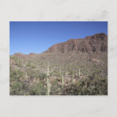 Cactus Landscape Postkarte (Vorderseite)