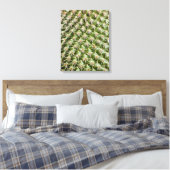 Cactus Macro Fotografy Leinwanddruck (Insitu (Schlafzimmer))