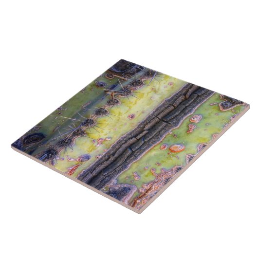 Cactus Macro Keramik Tile Fliese (Seite)