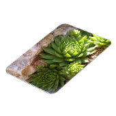 Cactus Magnet (Linke Seite)