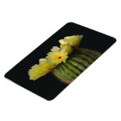 Cactus Magnet (Linke Seite)