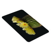 Cactus Magnet (Rechte Seite)