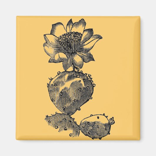 Cactus Magnet (Vorne)