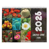 Cactus Monthly Desert Plant Inspiration Kalender (Titelbild)