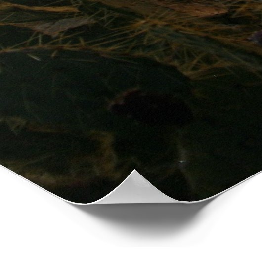 Cactus Night Lights Poster (Ecke)