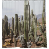 Cactus Oasis #1 #wall #decor #art  Duschvorhang (Vorderseite)