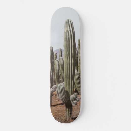 Cactus Oasis #1 #wall #decor #art Skateboard (Vorderseite)