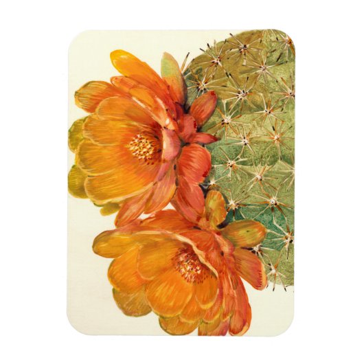 Cactus Orange Blossoms Magnet (Vertikal)