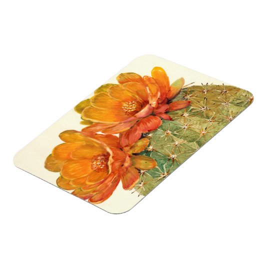 Cactus Orange Blossoms Magnet (Linke Seite)