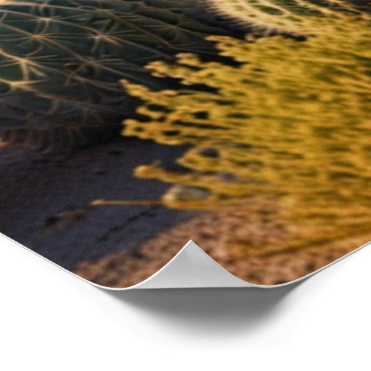 Cactus Panoramic Wüste Landschaft Poster (Ecke)