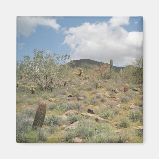 Cactus Pastoral Decorative Kühlschrank Magnet (Vorne)