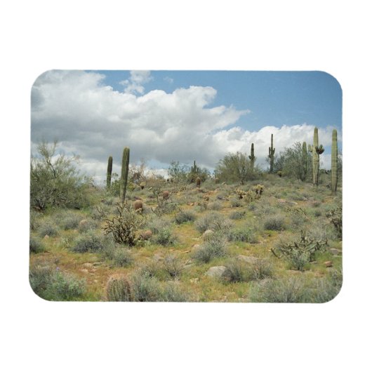 Cactus Pastoral Decorative Western Foto Magnete (Horizontal)