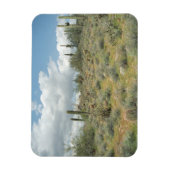 Cactus Pastoral Decorative Western Foto Magnete (Vertikal)