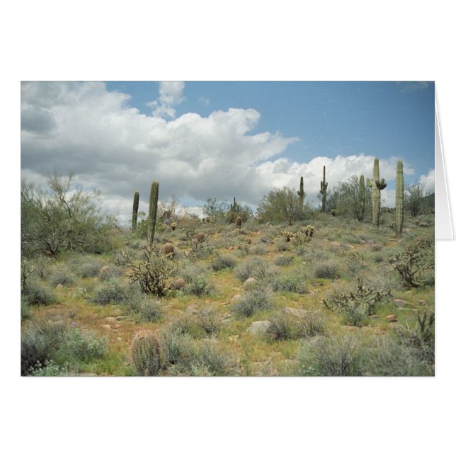 Cactus Pastoral Sweep Grußkarte oder Note Card (Vorderseite (Horizontal))