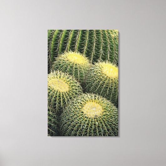 Cactus Pattern Leinwanddruck (Vorderseite)
