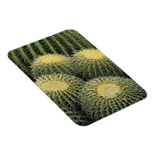 Cactus Pattern Magnet (Rechte Seite)