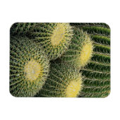 Cactus Pattern Magnet (Horizontal)