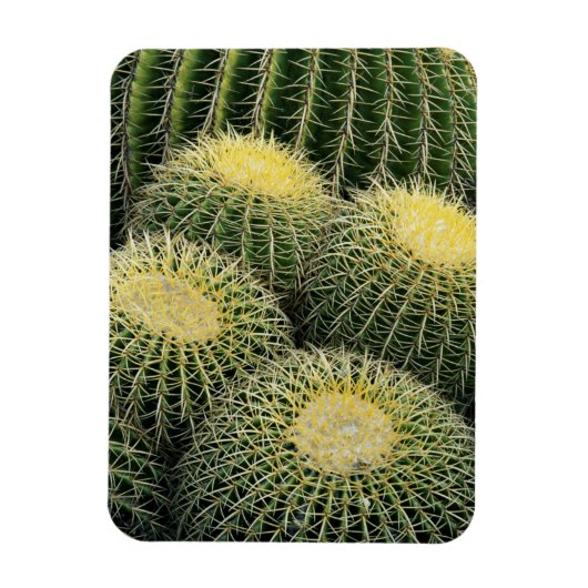 Cactus Pattern Magnet (Vertikal)