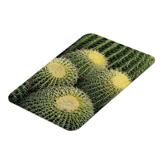 Cactus Pattern Magnet (Linke Seite)