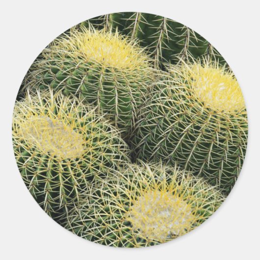 Cactus Pattern Runder Aufkleber (Vorderseite)