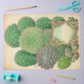 Cactus Pflanze Ephemera Collage Art Nr. 7 Seidenpapier (Basteln)