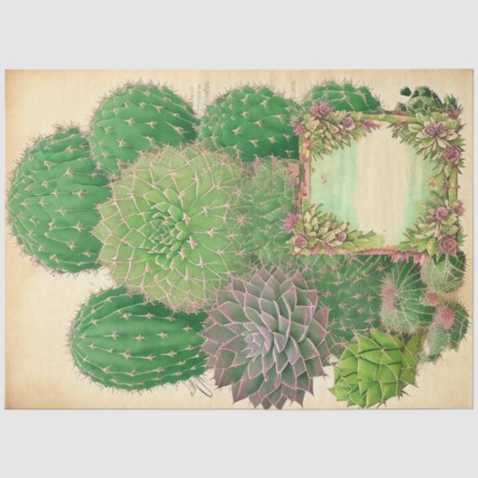Cactus Pflanze Ephemera Collage Art Nr. 7 Seidenpapier (Vorderseite)