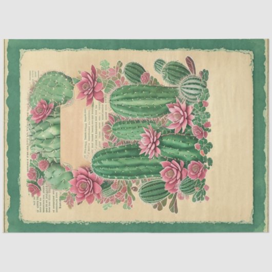 Cactus Pink Blume Ephemera Collage Art Nr. 1 Seidenpapier (Vorderseite)