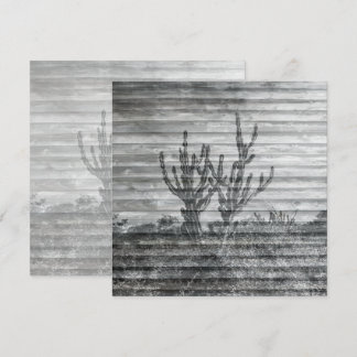 Cactus Plants On Wood Planks Black And White Photo Karte