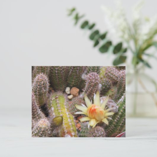 Cactus：Postcard Postkarte (Stehend Vorderseite)
