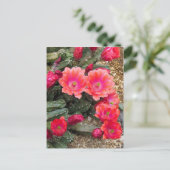 Cactus：Postcard Postkarte (Stehend Vorderseite)