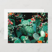 Cactus Postcard Postkarte (Vorne/Hinten)
