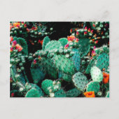 Cactus Postcard Postkarte (Vorderseite)