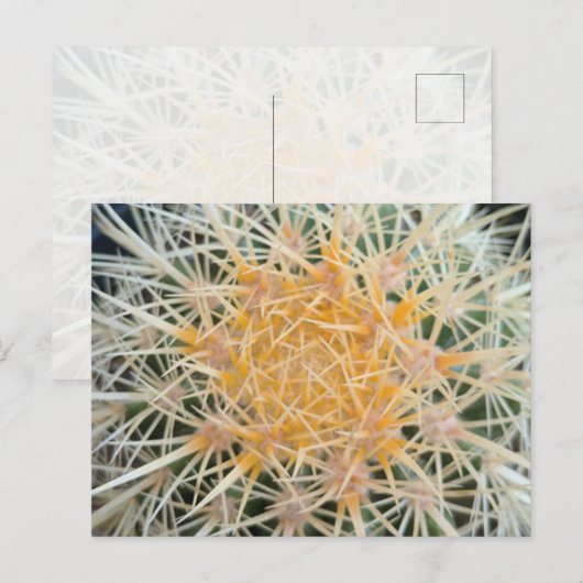 Cactus Postcard Postkarte (Vorne/Hinten)