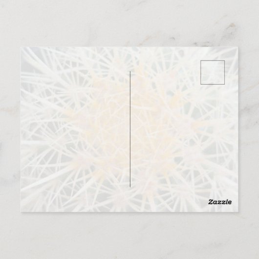 Cactus Postcard Postkarte (Rückseite)