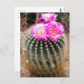 Cactus：Postcard Postkarte (Vorne/Hinten)