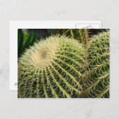 Cactus Postcard Postkarte (Vorne/Hinten)