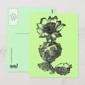 Cactus Postcard Postkarte (Vorne/Hinten)