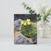 Cactus：Postcard Postkarte (Stehend Vorderseite)