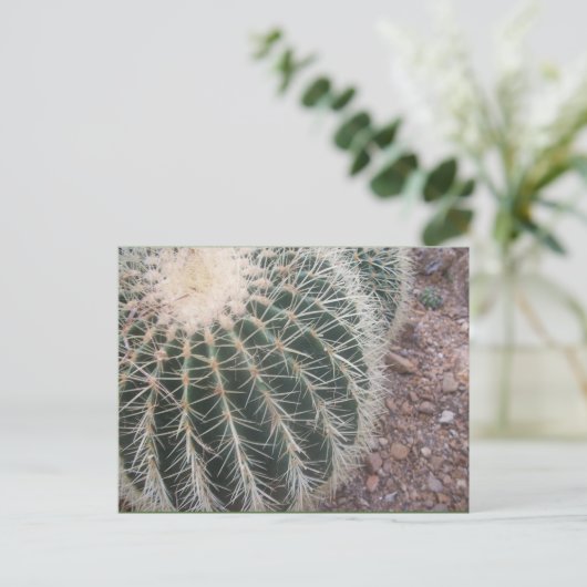 Cactus Postcards Postkarte (Stehend Vorderseite)