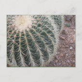 Cactus Postcards Postkarte (Vorderseite)