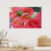 Cactus Poster (Küche)