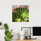 Cactus Poster (Heimbüro)