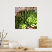Cactus Poster (Küche)